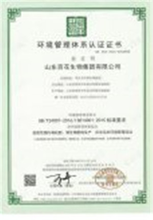 環境管理體系認證證書